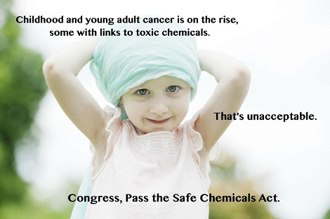 safe chemicals and cancer - Meliorism Memoirs Of An Autism Mama